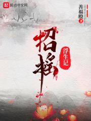 招摇浮生记 招摇浮生记