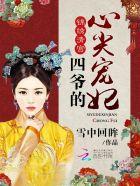 四爷的心尖宠妃 四爷的心尖宠妃